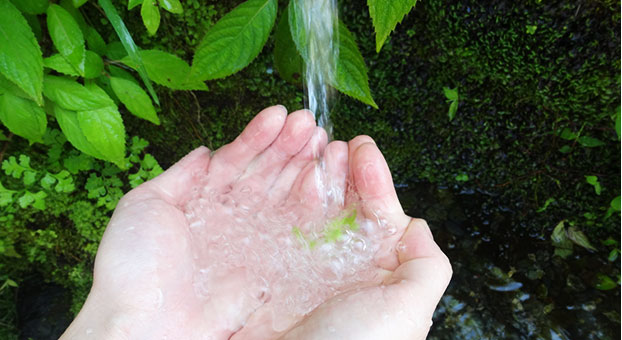 水の都　町中の水郷めぐり