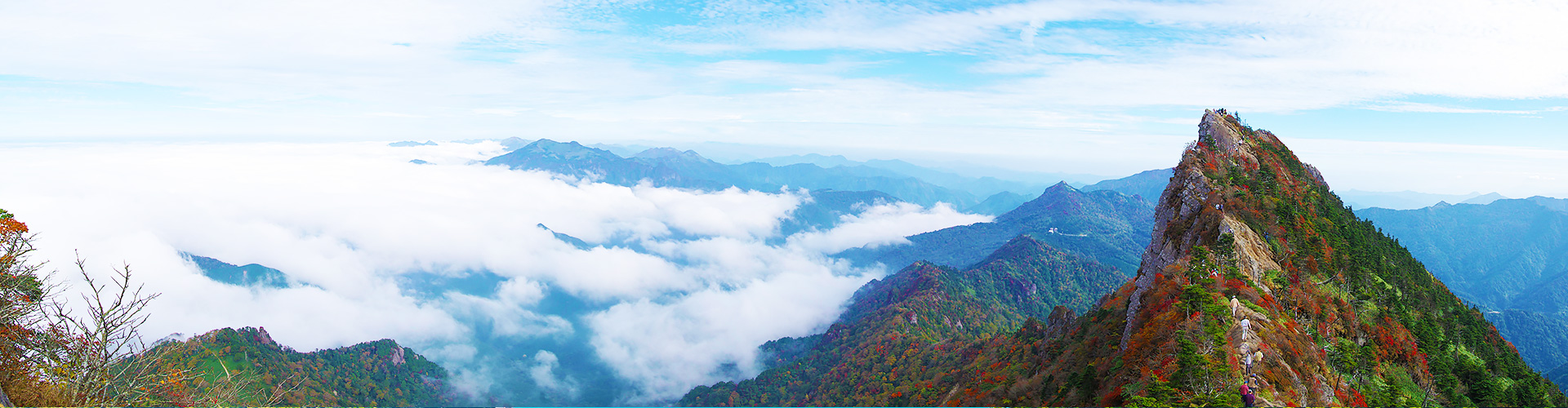 メインイメージ