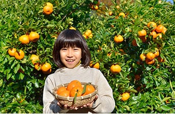 Orange Fields